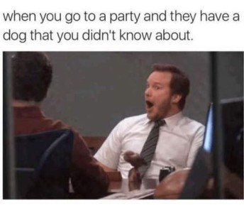 Photo of a man sitting in a chair looking at someone across from him with his mouth open, head turned slightly to his right, eyes wide and still pointing to the other person, in a look of delighted surprise. Caption: When you go to a party and they have a dog that you didn't know about.