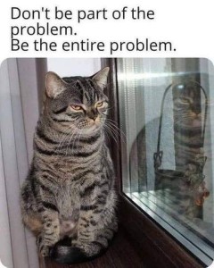 Photo of a gray and black tabby cat sitting next to a window, looking at his reflection, eyes half-closed. Caption: Don't be part of the problem. Be the entire problem.