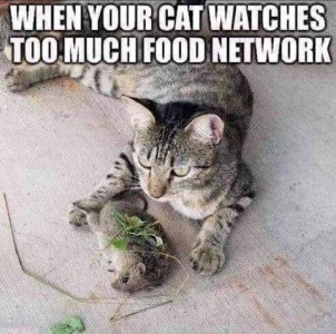 A gray tabby cat laying on a carpet with a dead mouse between his front feet; there are pieces of grass on top of the mouse. Caption: When your cat watches too much food network.