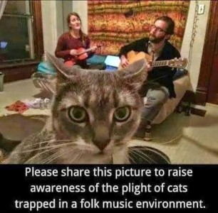 Closeup face shot of a gray tabby cat with wide eyes looking into the camera; behind him are a bearded man and a long-haired woman sitting on pillows, the woman is playing a small stringed instrument, the man is playing a guitar, they are both singing. Behind them is a wall hanging with stripes of southwest colors. Caption: Please share this picture to raise awareness of the plight of cats trapped in a folk music environment.