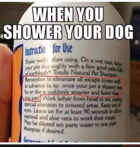 Title: When you shower your dog. Closeup photo of the directions on a bottle of dog shampoo with the following highlighted: "Remember to eliminate all escape route well in advance. (a tip: once your pet is slippery wet he or she is suddenly smarter and faster than you are.)"
