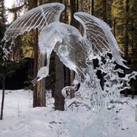 a bird, wings spread, that has caught a fish