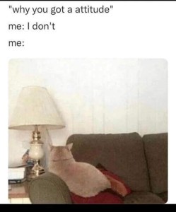 "Why you got a attitude" Me: I don't also me: Photo of a tan cat laying on a davenport, butt on a red pillow, body on the arm; he has his back to the camera but his ears turned to listen behind him.