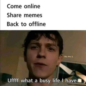 Head shot of a young man or teenager looking kinda of unkempt, sweaty, and with a pained look on his face. Caption: Come online. Share memes. Back to offline. Uffff what a busy life I have.