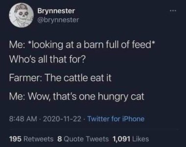 Screenshot of a twitter post by Brynnester. Text only. Me: *looking at a barn full of feed* Who's all that for? Farmer: The cattle eat it Me: Wow that's one hungry cat!