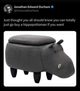 Screenshot of a post by Jonathan Edward Durham that shows a hippopotamus-shaped foot stool. Caption: Just though you all should know you can totally just go buy a hippopottoman if you want.