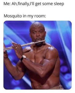 Me: Ah, finally, I'll get some sleep Mosquito in my room: Photo of a shirtless muscular man playing a flute; his eyebrows are raised.