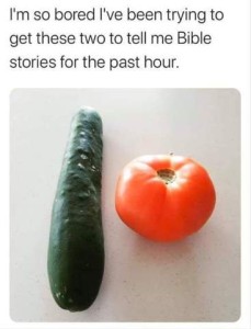 Photo of a cucumber and a tomato. Caption: I'm so bored I've been trying to get these two to tell me Bible stories for the past hour.