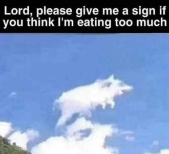 Photo of a hog-shaped cloud in the sky. Caption: Lord, please give me a sign if you think I'm eating too much.