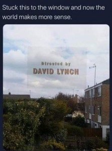 Stuck this to the window and now the world makes more sense. Photo taken from an upstairs window out into a neighborhood; the window has a clear sticker on it, with the words in gold: Directed by David Lynch.