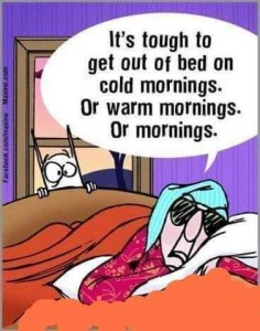 Cartoon of an old lady laying in bed saying, "It's tough to get out of bed on cold mornings. Or warm mornings. Or mornings."