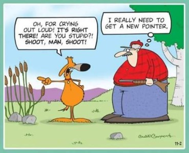 Cartoon showing a hunting dog talking to a hunter while pointing with a finger to his right as he stands on his hind legs, human-style, left hand on his hip. He is saying, "Oh, for crying out loud! It's right there! Are you stupid?! Shoot, man, shoot!" Thought bubble over the hunter's head has the words, "I really need to get a new pointer."