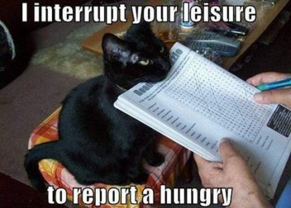 Photo of a black cat sitting on a footstool in front of a man who is doing a word search puzzle. The cat has his chin resting on top of the puzzle book. Caption: I interrupt your leisure to report a hungry