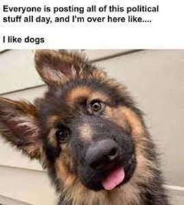 Photo of a german shepherd puppy with his head tipped adorably to his right, and his pink tongue sticking out slightly. Caption Everyone is posting all of this political stuff all day, and I'm over here like...I like dogs.