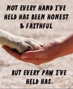 Photo of an outstretched hand with a dog's paw on it. Caption: Not ever hand I've held has been honest and faithful. But every paw I've held, has.