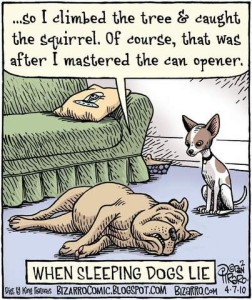 Cartoon with a bulldog laying on a floor with a bored look on his face, eyes closed, talking to a tiny chihuahua sitting next to him: "...so I climbed the tree and caught the squirrel. Of course, that was after I mastered the can opener." Caption: When sleeping dogs lie.