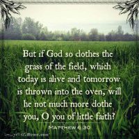 But if God so clothes the grass of the field, which today is alive and tomorrow is thrown into the oven, will He not much more clothe you, O you of little faith? Matthew 6:30