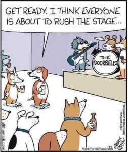 Cartoon of some dogs with drinks, standing around a band made up of dogs called The Doorbells preparing to start playing. One dog in the audience is telling another, "Get ready. I think everyone is about to right the stage."
