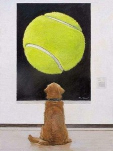 Photo of a golden retriever taken from behind. He is sitting in front of a huge work of art, as if at a museum, just staring at it. It is a huge tennis ball painted against a black background.