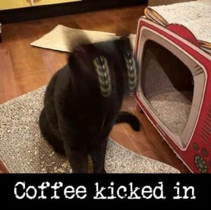 Picture of a black cat who was moving his head up and down as the photo was captured so that it looks like a blur with 5 pairs of eyeballs, sitting outside a red litter box. Caption: Coffee kicked in.