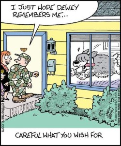 Cartoon showing a serviceman in camo uniform coming home and about to open the front door the house to enter; he is telling the woman with him, "I just hope Dewey remembers me..." Through the window is a massive shaggy gray and white dog racing toward the door at top speed, tongue out, and ears flying behind his head.