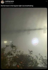 Screenshot of a media pots by Cooking Mama; she writes, "the full moon in the fog last night was breathtaking! and below her words is a photo of heavy fog, a few trees along the bottom, and a bright circle shining through behind, with the words DAVE & BUSTER'S on it.