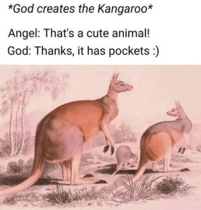 Drawing of 2 larger kangaroos and a small one between them. *God creates the kangaroo* Angel: That's a cute animal! God: Thanks, it has pockets. :)
