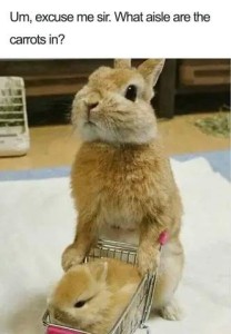 Photo of a light brown bunny on his hind legs, front feet on a tiny shopping cart in which is an identical baby. Caption: Um, excuse me, sir. What aisle are the carrots in?