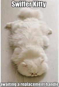 A fluffy white cat laid out flat on a very light-colored floor. Catpion: Swiffer Kitty awaiting a replacement handle.
