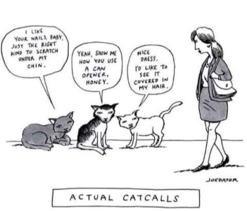 Cartoon of a woman walking past 3 cats; each one has a speech bubble. One says, "I like your nails, Baby, just the right kind to scratch under my chin." Another says, "Yeah, show me how you can use a can opening, honey." Third one says, "Nice dress. I'd like to see it covered in my hair." Title at the bottom: Actual catcalls.