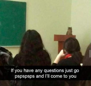 Photo of a cat at a podium at the front of a classroom with students watching him. Caption: If you have any questions just go pspspspsps and I'll come to you.