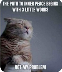 Photo of a cat sitting up with ears relaxed back and eyes closed. Caption: The path to inner peace begins with 3 little words: "Not my problem."