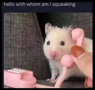 A little fuzzy hamster with a tiny pink princess phone; someone is holding the receiver up to his ear. Caption: "Hello, with whom am I squeaking?"