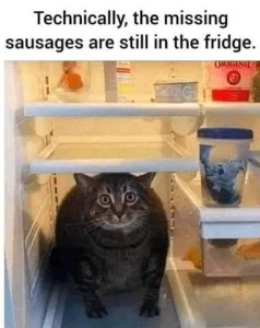 Photo of a fat cat sitting on an empty shelf in the refrigerator, looking at the camera. Caption: Technically, the missing sausages are still in the fridge.