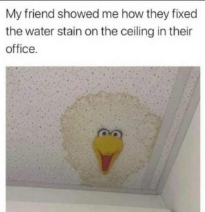 "My friend showed me how they fixed the water stain on the ceiling in their office." Photo of a cloud-shaped water stain with Big Bird's face in the middle of it.