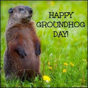 Photo of a groundhog sitting upright with green grass and yellow flowers around him. Caption: Happy groundhog day!