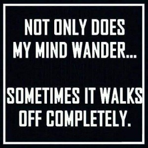 Text only: Not only does my mind wander...sometimes it walks off completely.