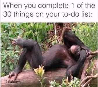 Photo of a chimpanzee laying on a fallen tree trunk. He's on his back, his left ankle on his right knee, eyes closed, hands clasped over his head, the picture of relaxation and contentment. Caption: When you complete 2 of the 30 things on your to-do list