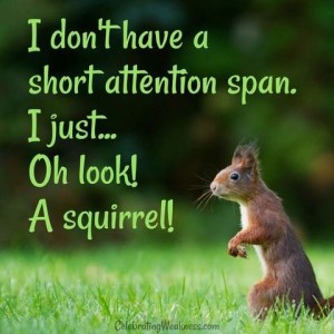 Photo of a squirrel sitting on his hind legs in the grass. Caption: I don't have a short attention span. I just... Oh look! A squirrel!
