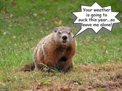 Photo of a groundhog sitting on the lawn looking irritated, saying, "Your weather is going to suck this year...so leave me alone!"
