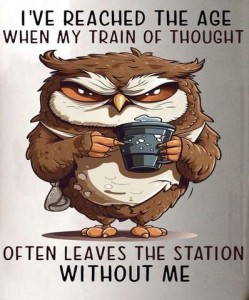 Cartoon of an owl holding a cup, with a squinty look on his face. Caption: I've reached the age when my train of thought often leaves the station without me.