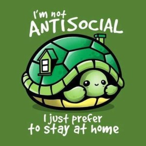 Picture of a turtle, all pulled into his shell, a smile on his face; his shell has a little window on one side and a chimney coming out the top on the other. Caption: I'm not antisocial. I just prefer to stay at home.