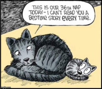 Cartoon of 2 cats laying next to each other; the full-grown cat telling a kitten, "This is our 36th nap today - I can't read you a bedtime story every time."