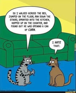 Cartoon with two cats sitting in front of a davenport talking. One is saying to the other, "So I walked across the bed, jumped on the floor, ran down the stairs, sprinted into the kitchen, hopped up on the counter, and found out he was opening a can of CORN!" to which the other cat replies, "I HATE that!"