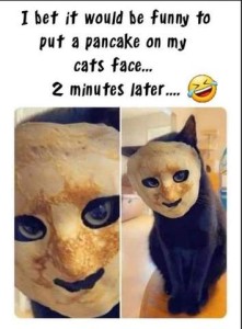 I bet it would be funny to put a pancake on my cat's face...2 minutes later...Photo of a black cat that appears to be wearing a mask, with eyes and mouth holes in it.