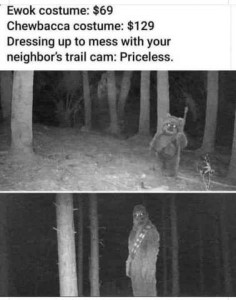 two black and white nighttime trail cam photos; one shows an Ewok coming out of the woods, the other shows Chewbacca. Caption: Ewok costume: $69 Chewbacca costume: $129 Dressing up to mess with your neighbor's trail cam: Priceless