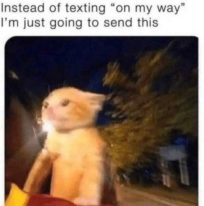 Blurry photo of a yellow cat, ears back, eyes focused; appears to be on a vehicle of some kind, traveling down a street at a high rate of speed. Caption: Instead of texting "on my way" I'm just going to send this.