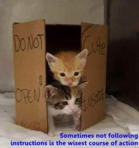 Two tiny kittens peeking out the partially opened side or a cardboard box on which is printed, DO NOT OPEN - CUTE INSIDE. Caption: Sometimes not following the instructions is the wisest course of action.