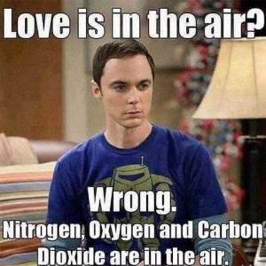 Picture of Sheldon Cooper looking serious. Caption: Love is in the air? WRONG. Nitrogen, Oxygen, and Carbon Dioxide are in the air.