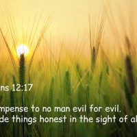 Recompense to no man evil for evil. Provide things honest in the sight of all men Romans 12:17